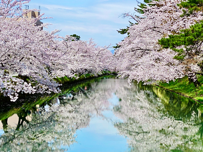 弘前支社 - コア・ライフプランニング