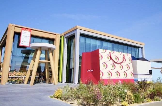 浜松支社 - コア・ライフプランニング